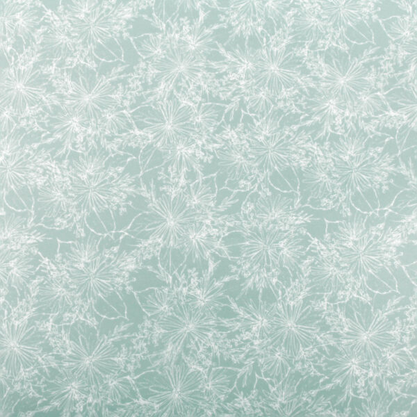 Sweet Daisy Print