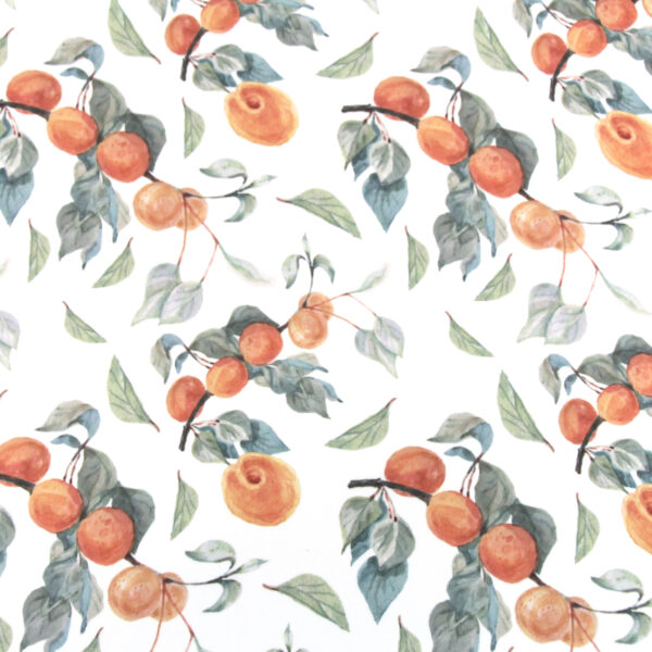 Sweet Peaches Print