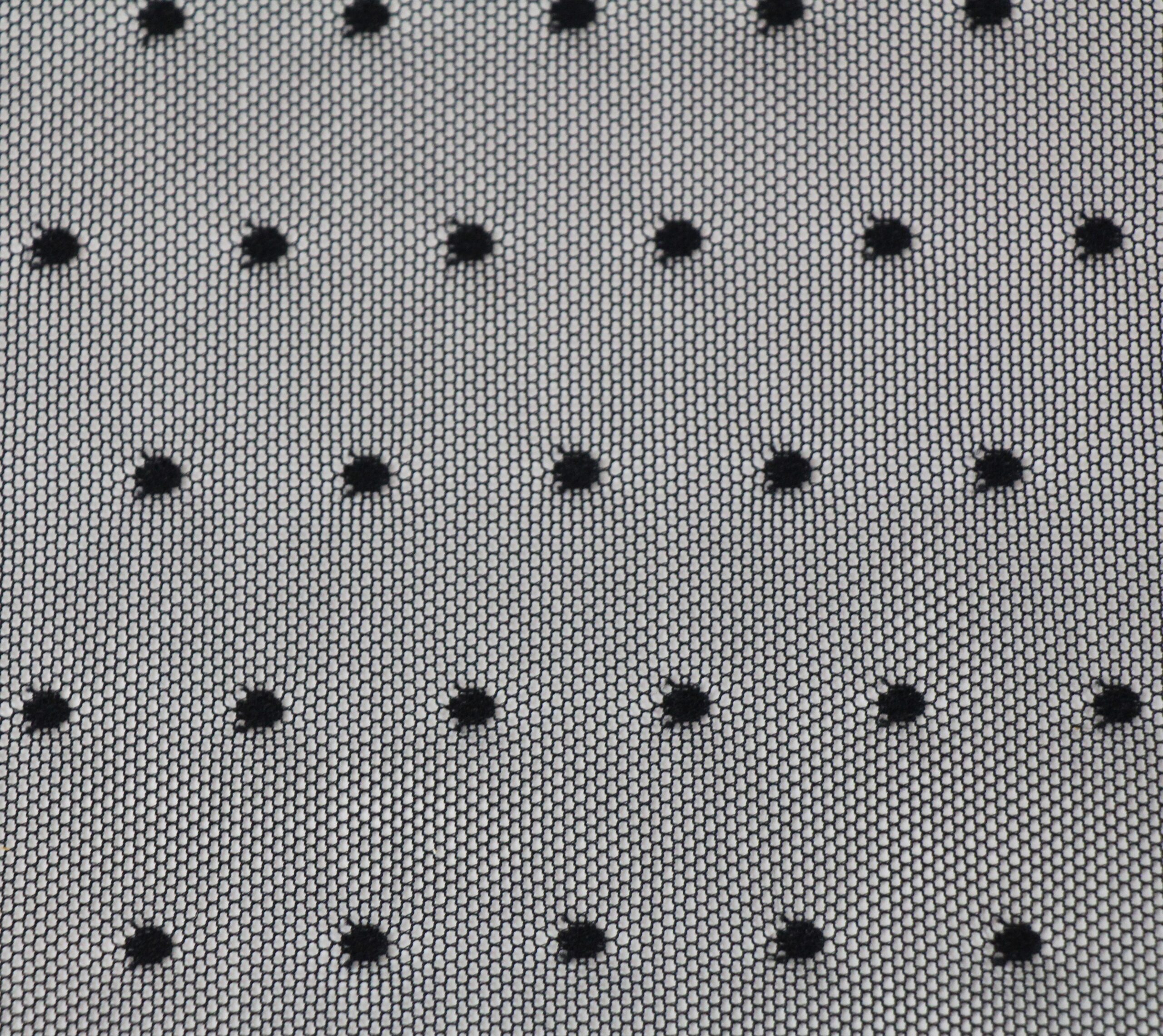 Black Dot Texture Tulle Lace