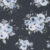 Naval