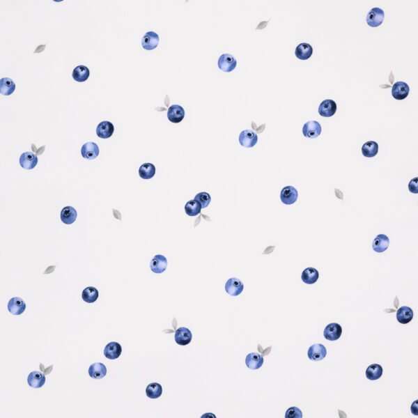 Blueberries Print