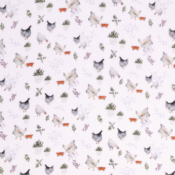 Baba Chickens